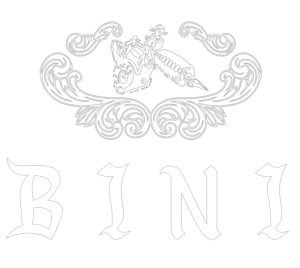Bini Tattoo - Toronto tattoo & piercing
